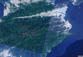 地理院地図(ｼｰﾑﾚｽ空中)